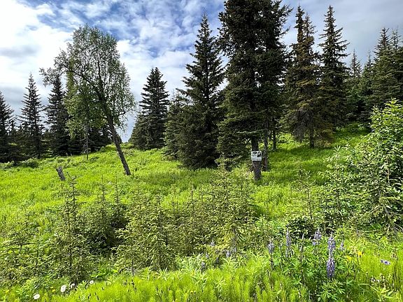 4th image of 17475 Arcturus Loop