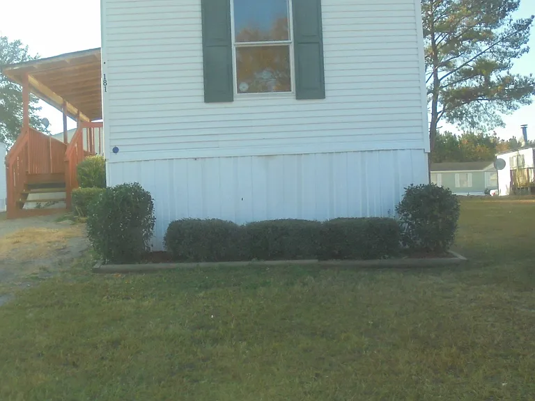 Palmetto Palms — Photo 22