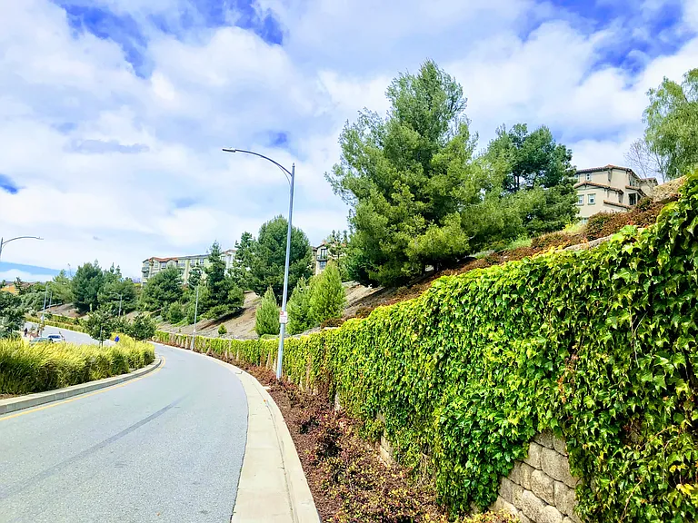 2221 Golden Crest Cmns — Photo 16
