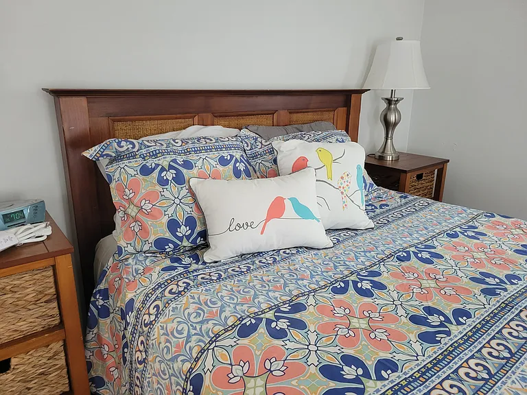 Master. Queen BEd. MAcys mattress. Down comforter. 100% cotton high count sheets and duvet