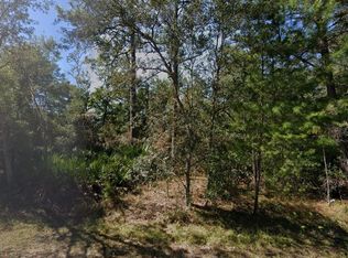 Theresa Ave LOT 14, Interlachen, FL 32148