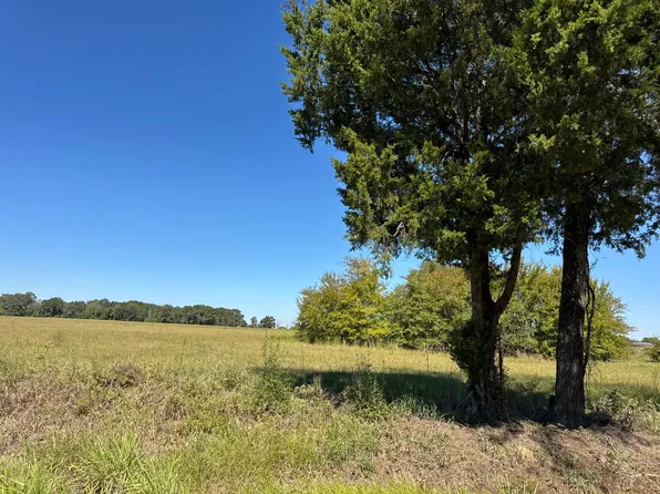 8 County Road 2922, Eustace, TX 75124