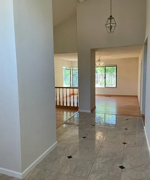 335 Live Oak Dr — Photo 22