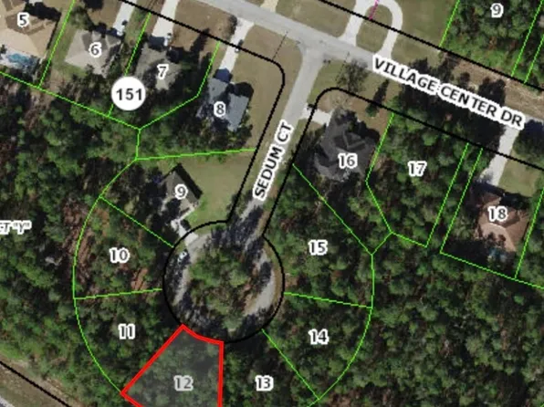 9 Sedum Ct, Homosassa, FL 34446