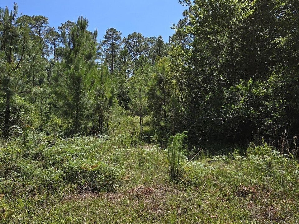 2nd image of 371 & 381 Elm Road