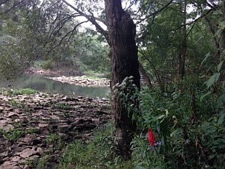 1st image of 113 Cypress Shoals Dr.