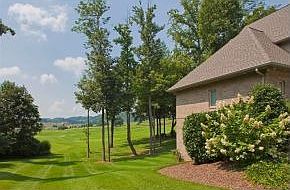 3rd image of 201 Hidden Forest Ct