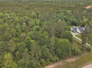 10681 Ruger Rd, Willis, TX 77378