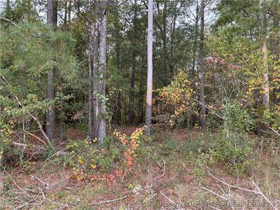 LOT 1 Midway Rd, Maxton, NC, 28364