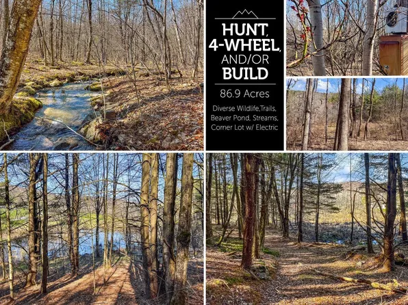 0 Pumpkin Hollow Road, Davenport, NY 13750