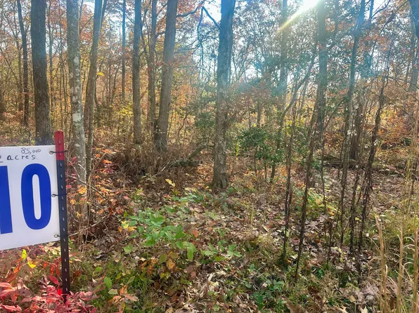 TRACT 10 Bozeman Rd, Corbin, KY 40701