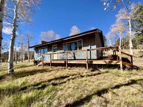 4538 Blue Mesa Drive, Powderhorn, CO 81243