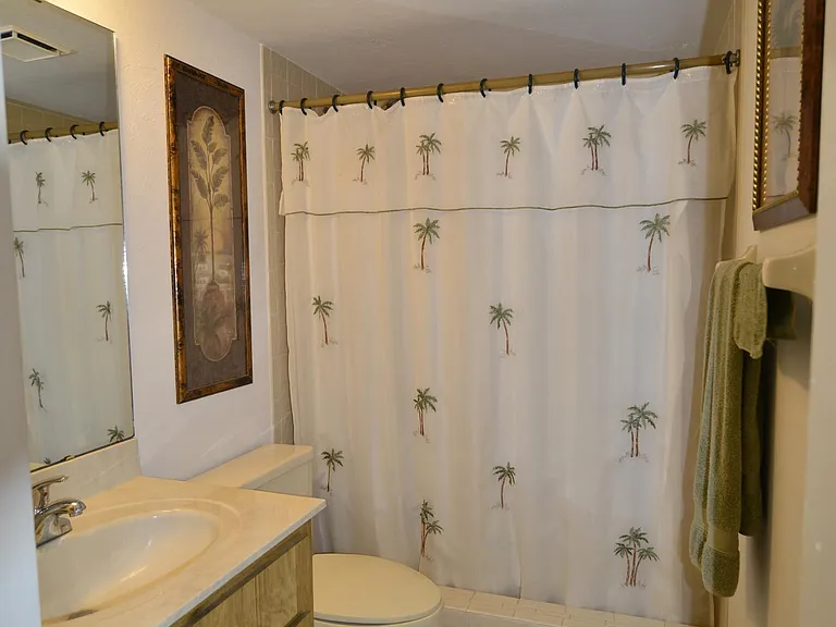 Guest Bathroom...