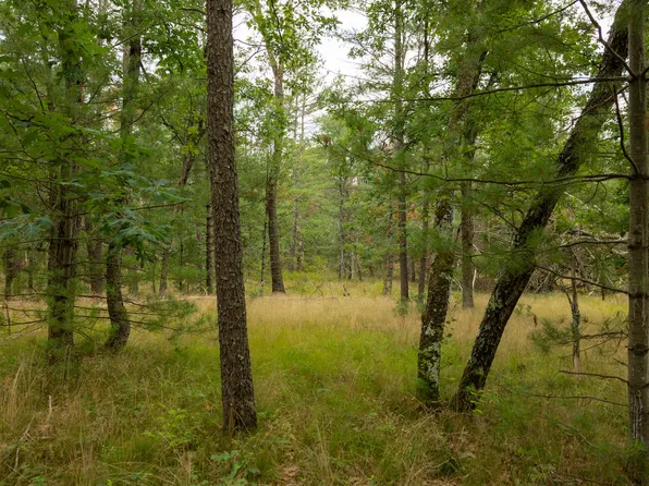 00-V/L W Lost Trl, Baldwin, MI 49304