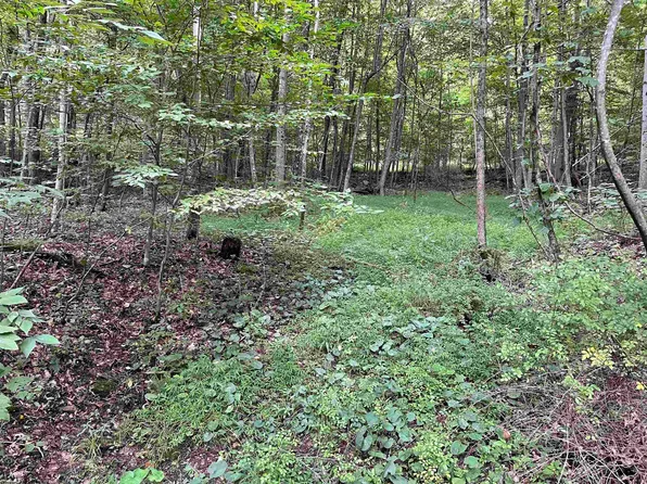 917 Mudlick Run Rd, Fairmont, WV 26554