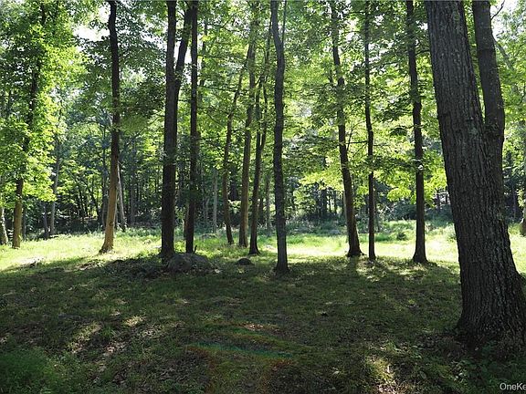 4th image of Mountain Farm Road