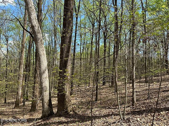 4th image of 0 White Pine Rd