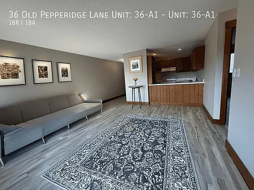 36 Old Pepperidge Ln #A1 Photo 1