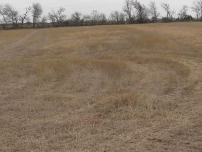 Tbd E Miller Lane Ln, Belton, TX, 76513