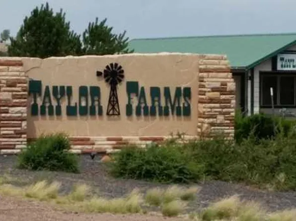 67 Taylor Farms Dr #2, Taylor, AZ 85939