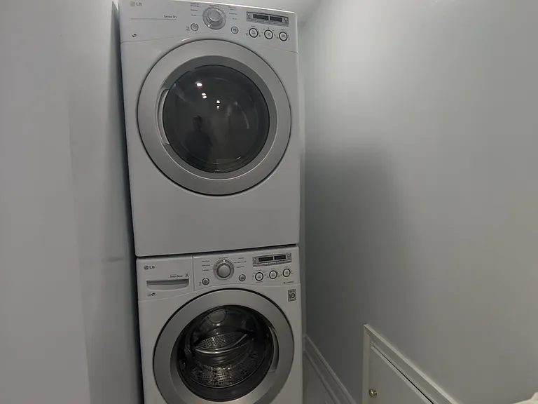 51 Britannia Ave E #LOWER LEVEL — Photo 16