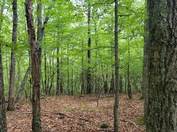 E Ridge Dr, Blacksburg, VA 24060