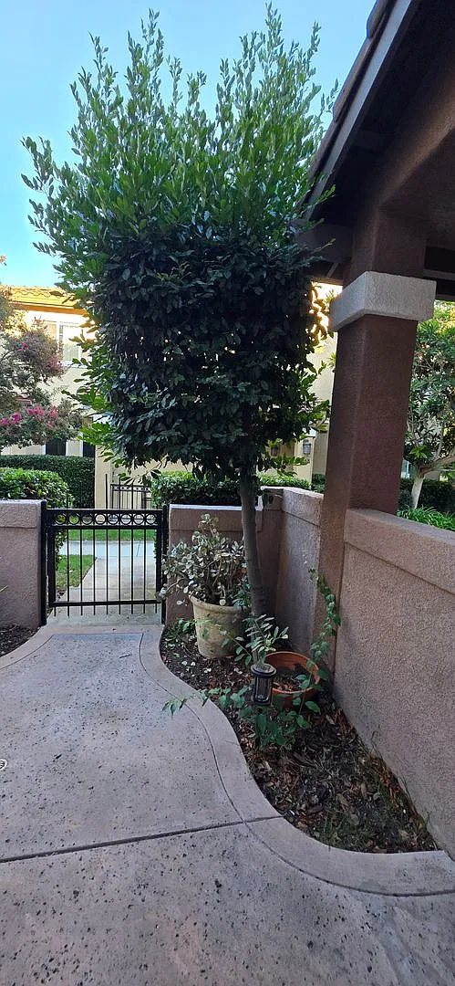Beautiful and Charming 3 Bedroom 2.5 Bath in Newbury Park — Photo 4