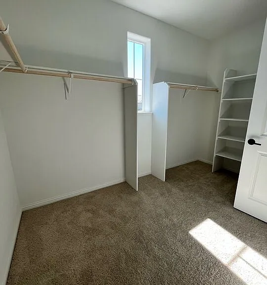 1605 Plumas Dr — Photo 8