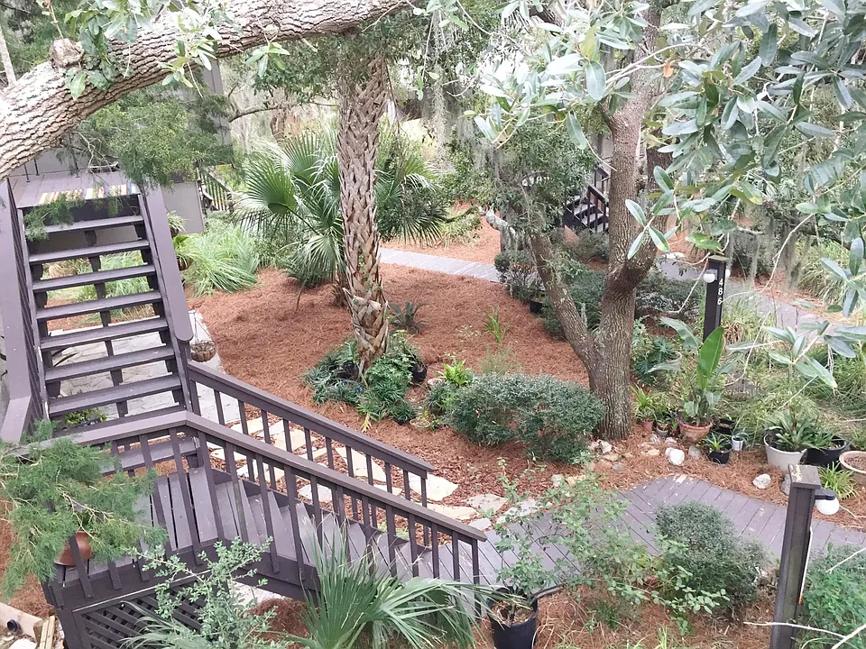 Garden yard and walkway / stairway between parking and front door landing.