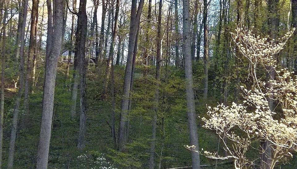 1st image of 7831 Harriet Tubman Ln