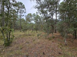 Lot 22 SE 105th LN, Dunnellon, FL 34431