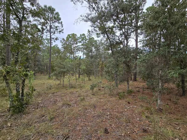 Lot 22 SE 105th LN, Dunnellon, FL 34431