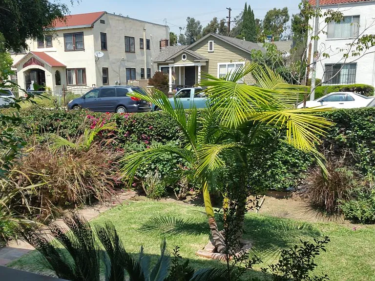 Front yard