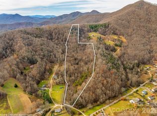 99999 Bay Horse Trl, Candler, NC 28715