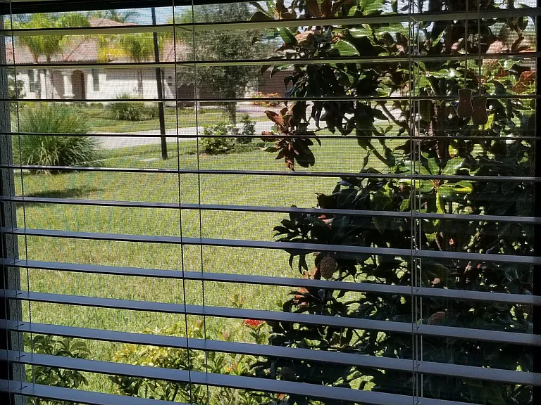 Beautiful Views from the bedrooms.