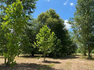 3785 E Us Highway 27, Mayo, FL 32066