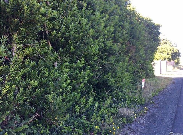 2nd image of 442 Ocean Shores Blvd