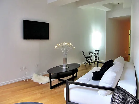 Rented by NY Living Solutions | media 39