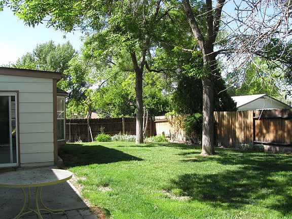 rear yard