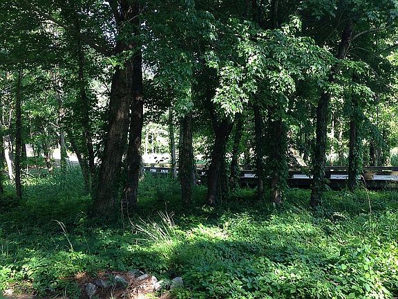 Lot 4H View