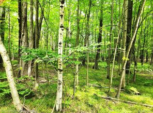 0 Red Fox Run, Farwell, MI 48622