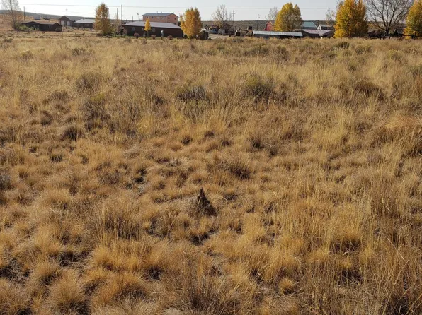 31 Longbow Ln, Pinedale, WY 82941