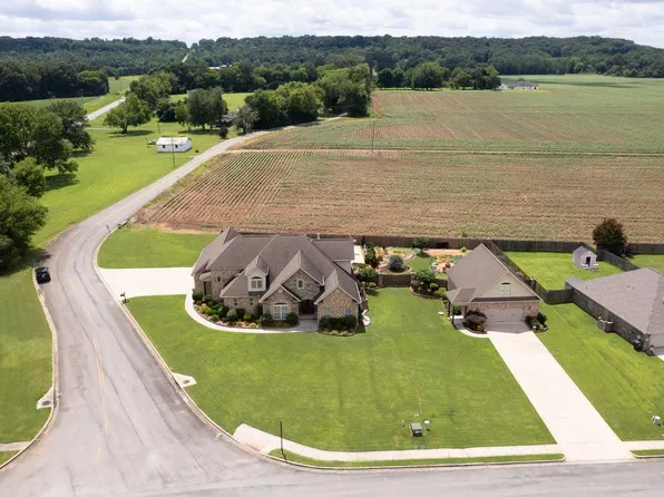 11 Tower St, Trinity, AL 35673