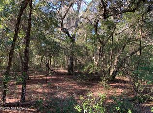 0 Drayton Ave, Interlachen, FL 32148