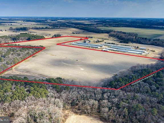 3rd image of Liberty Rd