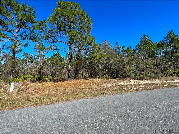 4th image of 8 Paw Paw Ct S