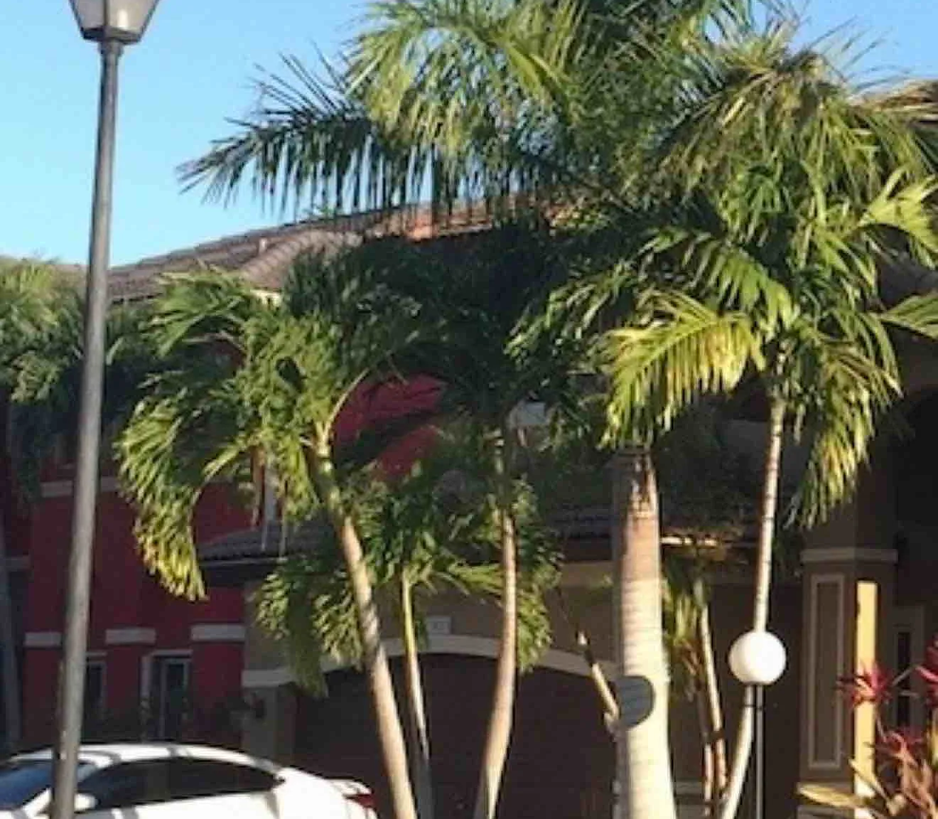 1 bed, 450 sqft, $1,000 — Photo 1