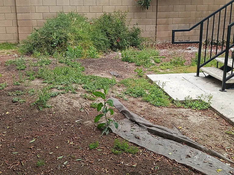 6723 Tyrone Ave #A — Photo 7