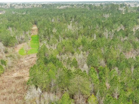 2nd image of Linwood Ln NE