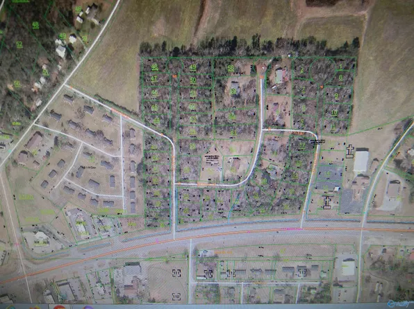 Lots Piedmont Hwy, Piedmont, AL 36272